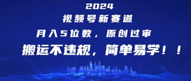 2024视频号新赛道，月入5位数+，原创过审，搬运不违规，简单易学【揭秘】-LH资源分享网