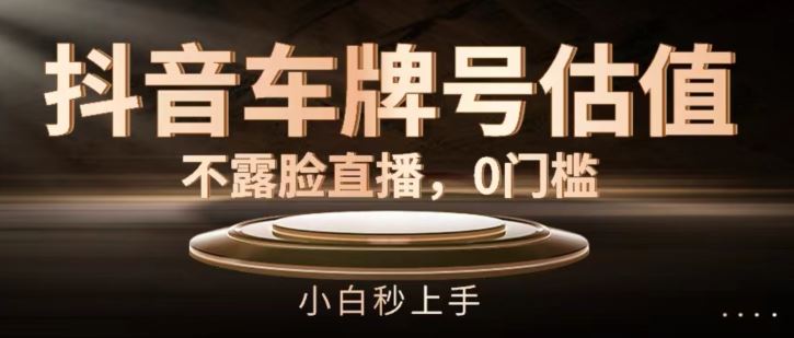 抖音车牌号估值，不露脸直播，0门槛，小白秒上手【揭秘】-LH资源分享网