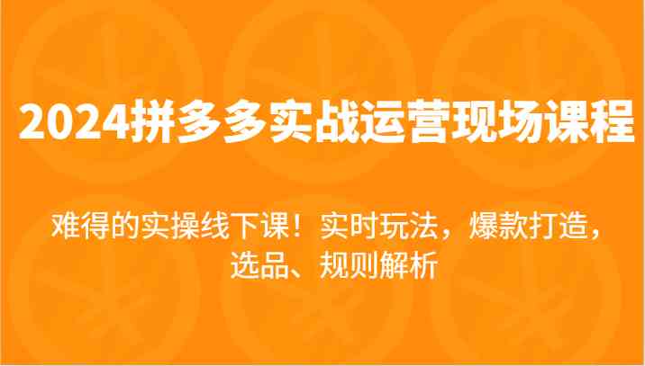 2024拼多多实战运营现场课，实时玩法，爆款打造，选品、规则解析，难得的实操线下课！-LH资源分享网