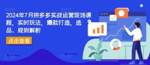 2024年7月拼多多实战运营现场课程，实时玩法，爆款打造，选品、规则解析-LH资源分享网