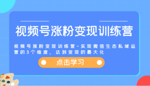 视频号涨粉变现训练营-实现微信生态私域运营的3个维度,达到变现的最大化-LH资源分享网