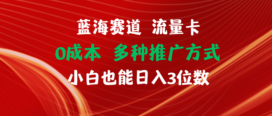 （11768期）蓝海赛道 流量卡 0成本 小白也能日入三位数-LH资源分享网