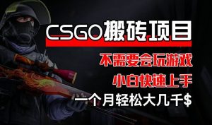CSGO 装备搬砖项目，操作简单，不需要会玩游戏，小白也能快速上手，一个月轻松大几千【揭秘】-LH资源分享网