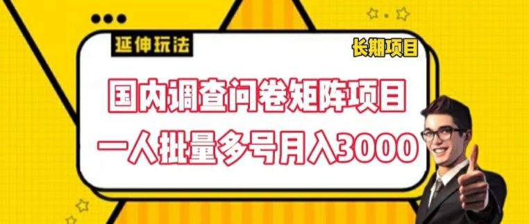 国内调查问卷矩阵项目，一人批量多号月入3000【揭秘】-LH资源分享网