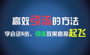 高效引流的方法，可以帮助你日引300+创业粉，一年轻松收入30万，比打工强太多！-LH资源分享网