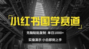 小红书国学赛道，无脑粘贴复制，单日1K，实操演示，小白即刻上手【揭秘】-LH资源分享网