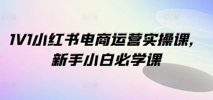 1V1小红书电商运营实操课，新手小白必学课-LH资源分享网