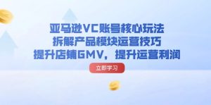 （11848期）亚马逊VC账号核心玩法，拆解产品模块运营技巧，提升店铺GMV，提升运营利润-LH资源分享网