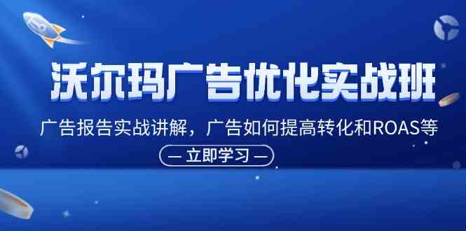 沃尔玛广告优化实战班，广告报告实战讲解，广告如何提高转化和ROAS等-LH资源分享网