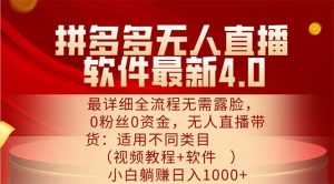 （11891期）拼多多无人直播软件最新4.0，最详细全流程无需露脸，0粉丝0资金， 小白…-LH资源分享网