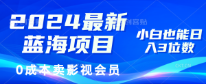 (11894期)2024最新蓝海项目,0成本卖影视会员,小白也能日入3位数-LH资源分享网