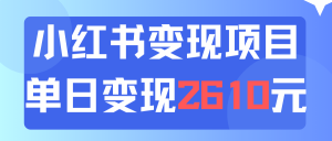 (11885期)利用小红书卖资料单日引流150人当日变现2610元小白可实操(教程+资料)-LH资源分享网