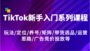 TikTok新手入门系列课程，玩法/定位/养号/矩阵/带货选品/运营思路/广告竞价投放等-LH资源分享网