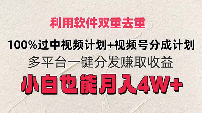 （11862期）利用软件双重去重，100%过中视频+视频号分成计划小白也可以月入4W+-LH资源分享网