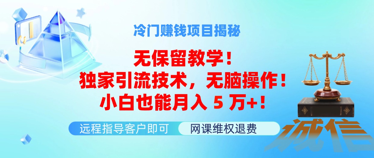 （11864期）冷门赚钱项目无保留教学！独家引流技术，无脑操作！小白也能月入5万+！-LH资源分享网
