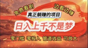 （11866期）免费看剧，边看边赚，日入上千不是梦，一个真正的躺赚项目-LH资源分享网