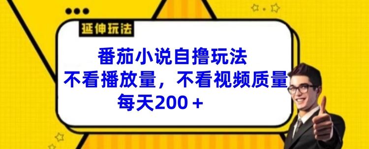 番茄小说自撸玩法，不看播放量，不看视频质量，每天200+【揭秘】-LH资源分享网