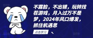 不露脸，不出镜，玩转找茬游戏，月入过万不是梦，2024年风口爆发，抓住机遇【揭秘】-LH资源分享网