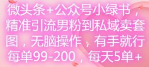 微头条+公众号小绿书,精准引流男粉到私域卖套图,无脑操作,有手就行,每单99-200,每天5单-LH资源分享网