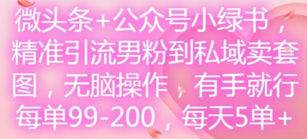 微头条+公众号小绿书，精准引流男粉到私域卖套图，无脑操作，有手就行，每单99-200，每天5单-LH资源分享网