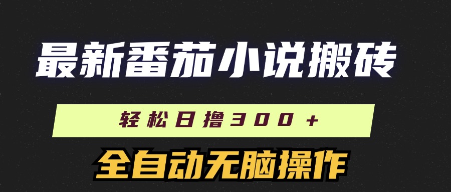 （11904期）最新番茄小说搬砖，日撸300＋！全自动操作，可矩阵放大-LH资源分享网