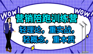 营销陪跑训练营，轻理论，重实战，轻概念，重本质，适合中小企业和初创企业的老板-LH资源分享网