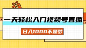 （11906期）一天入门视频号直播带货，日入1000不是梦-LH资源分享网