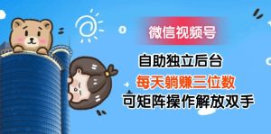 （11910期）微信视频号自助独立后台每天躺赚三位数可矩阵操作解放双手-LH资源分享网