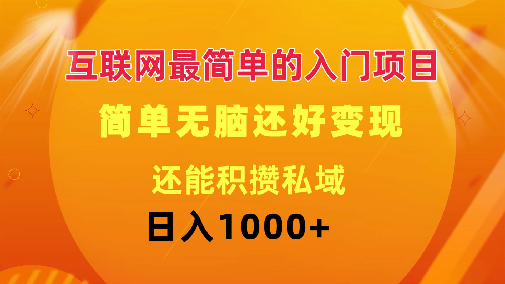 （11922期）互联网最简单的入门项目：简单无脑变现还能积攒私域一天轻松1000+-LH资源分享网