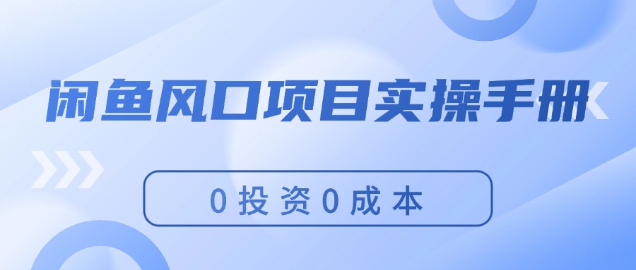 （11923期）闲鱼风口项目实操手册，0投资0成本，让你做到，月入过万，新手可做-LH资源分享网