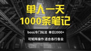 单人一天1000条笔记，日入2000+，BOSS直聘的正确玩法【揭秘】-LH资源分享网