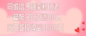 同城搭子相亲新玩法一篇帖子引流80人当日变现3600元(项目教程+实操教程)【揭秘】-LH资源分享网