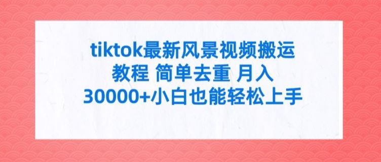 tiktok最新风景视频搬运教程 简单去重 月入3W+小白也能轻松上手【揭秘】-LH资源分享网