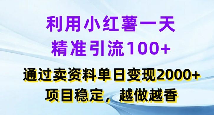 利用小红书一天精准引流100+，通过卖项目单日变现2k+，项目稳定，越做越香【揭秘】-LH资源分享网