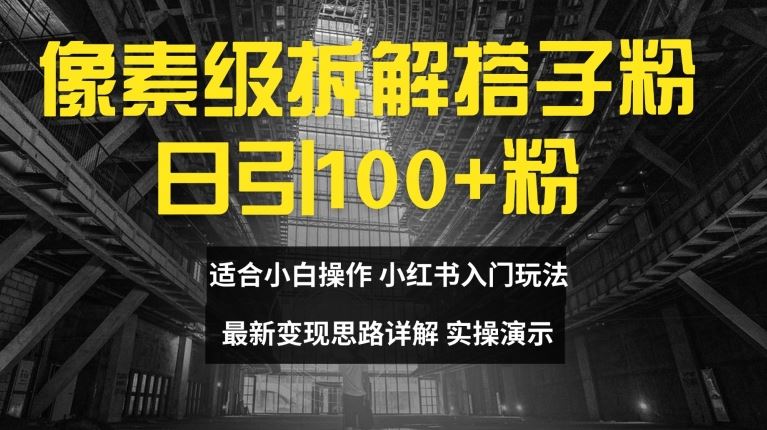 像素级拆解搭子粉，日引100+，小白看完可上手，最新变现思路详解【揭秘】-LH资源分享网