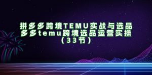 （11934期）拼多多跨境TEMU实战与选品，多多temu跨境选品运营实操（33节）-LH资源分享网