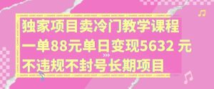 独家项目卖冷门教学课程一单88元单日变现5632元违规不封号长期项目【揭秘】-LH资源分享网