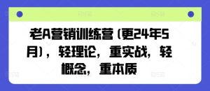 老A营销训练营(更24年7月),轻理论,重实战,轻概念,重本质-LH资源分享网