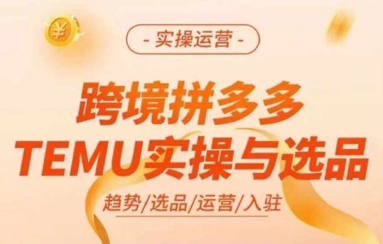 跨境拼多多TEMU实操与选品，多多temu跨境选品运营实操-LH资源分享网