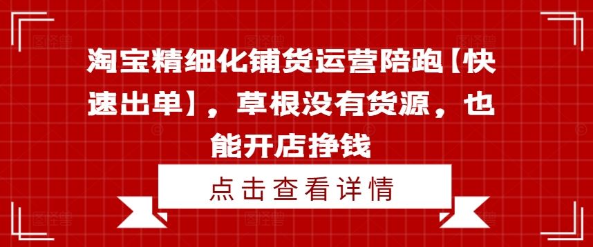 淘宝精细化铺货运营陪跑【快速出单】，草根没有货源，也能开店挣钱-LH资源分享网