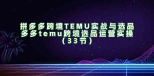拼多多跨境TEMU实战与选品，多多temu跨境选品运营实操（33节）-LH资源分享网