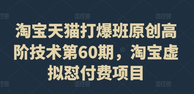 淘宝天猫打爆班原创高阶技术第60期，淘宝虚拟怼付费项目-LH资源分享网