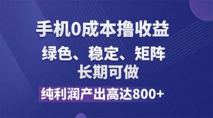 （11976期）纯利润高达800+，手机0成本撸羊毛，项目纯绿色，可稳定长期操作！-LH资源分享网