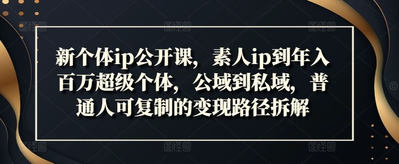 新个体ip公开课，素人ip到年入百万超级个体，公域到私域，普通人可复制的变现路径拆解-LH资源分享网