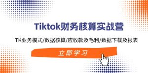 （11978期）Tiktok财务核算实战营：TK业务模式/数据核算/应收款及毛利/数据下载及报表-LH资源分享网