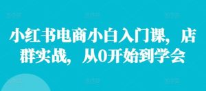小红书电商小白入门课，店群实战，从0开始到学会-LH资源分享网