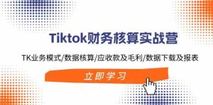 Tiktok财务核算实战营:TK业务模式/数据核算/应收款及毛利/数据下载及报表-LH资源分享网