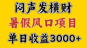 30天赚了7.5W 暑假风口项目,比较好学,2天左右上手-LH资源分享网