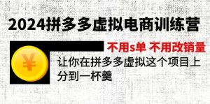 （12024期）2024拼多多虚拟电商训练营 不s单 不改销量  做虚拟项目分一杯羹(更新10节)-LH资源分享网