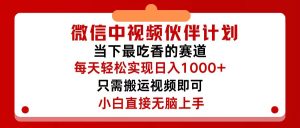 （12017期）微信中视频伙伴计划，仅靠搬运就能轻松实现日入500+，关键操作还简单，…-LH资源分享网